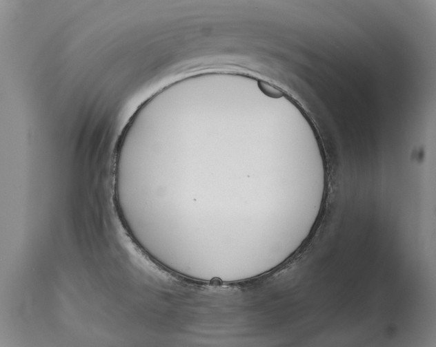 X0000115121526200911171316
