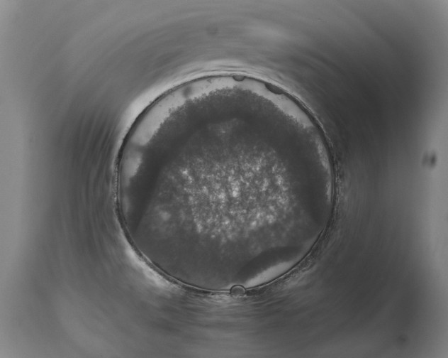 X0000115121527200911171316