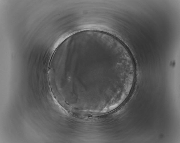 X0000115121529200911171316