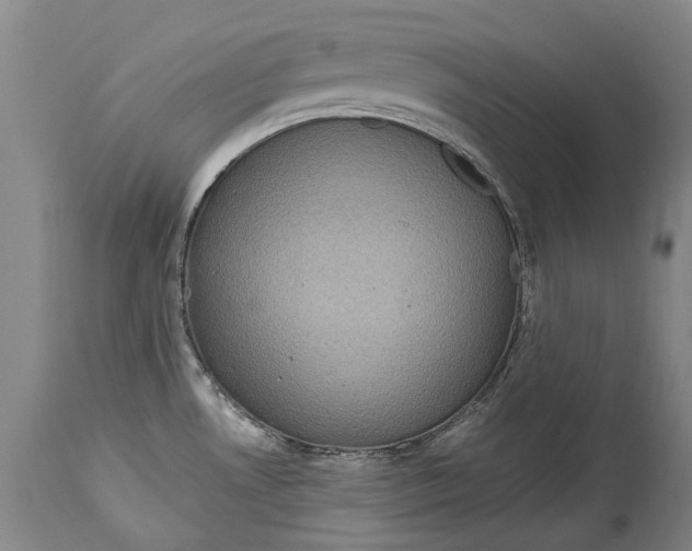 X0000115121530200911171316