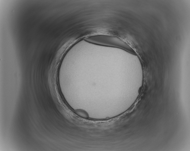 X0000115120001200911241356