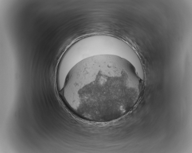 X0000115120002200911241356