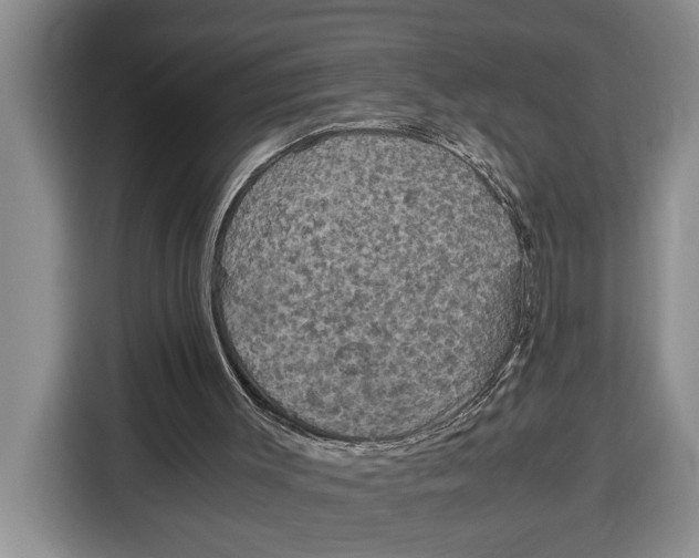 X0000115120003200911241356