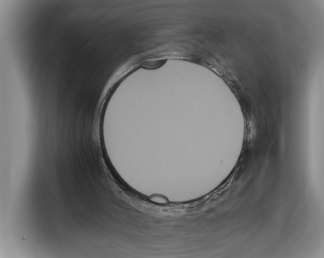 X0000115120004200911241356