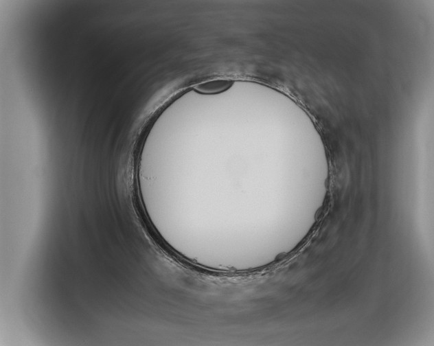 X0000115120005200911241356