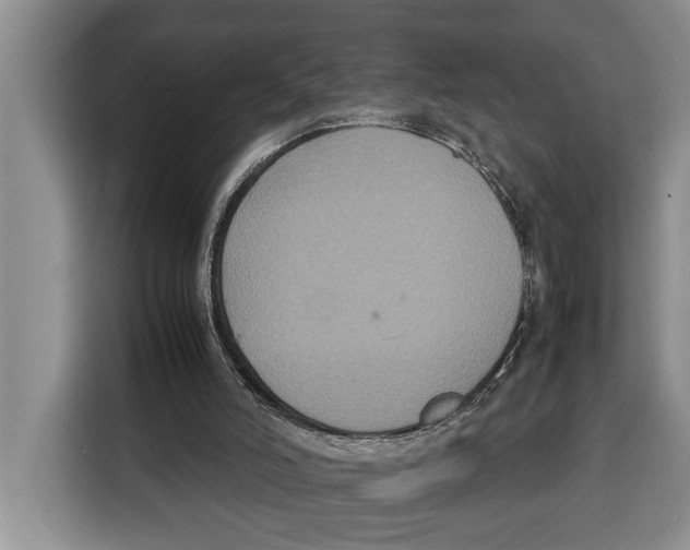 X0000115120006200911241356