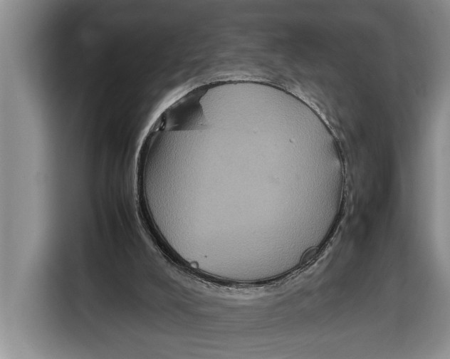 X0000115120008200911241356