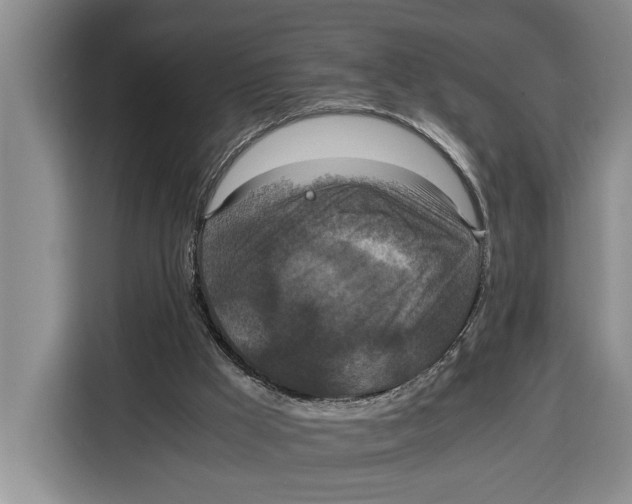 X0000115120009200911241356