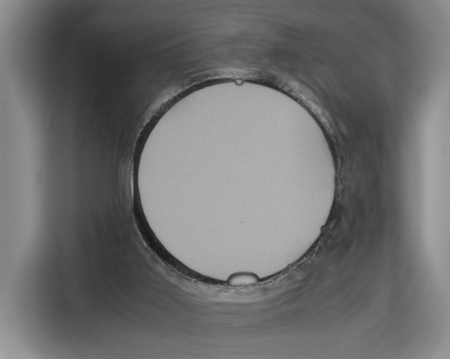 X0000115120011200911241356