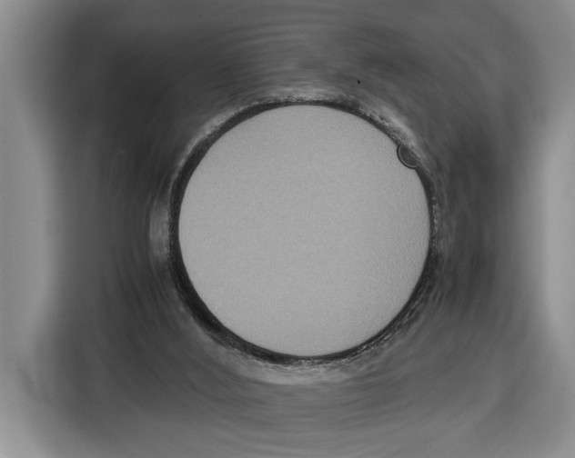 X0000115120012200911241356