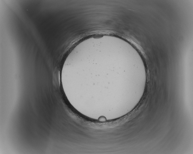 X0000115120013200911241356