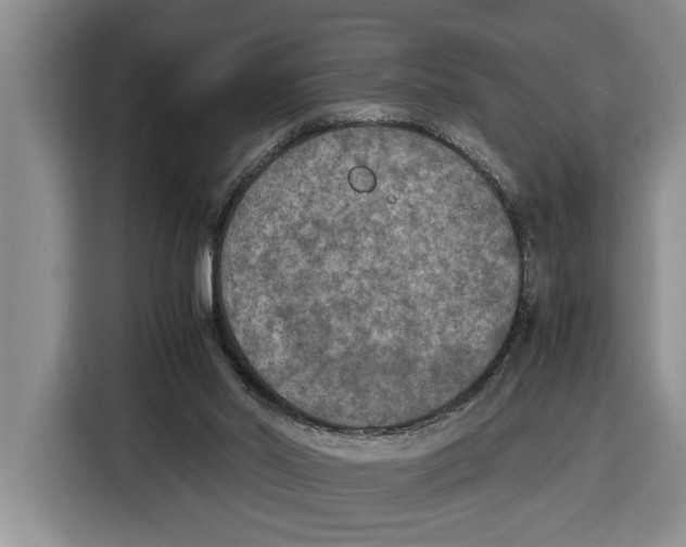 X0000115120014200911241356