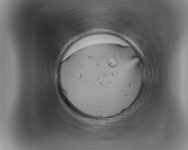 X0000115120015200911241356