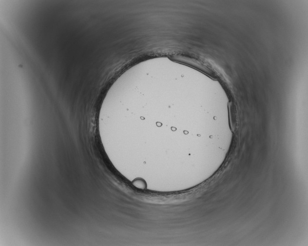 X0000115120017200911241356