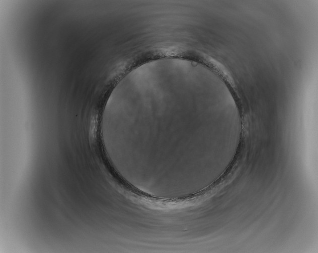 X0000115120018200911241356