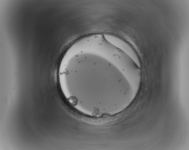 X0000115120019200911241356