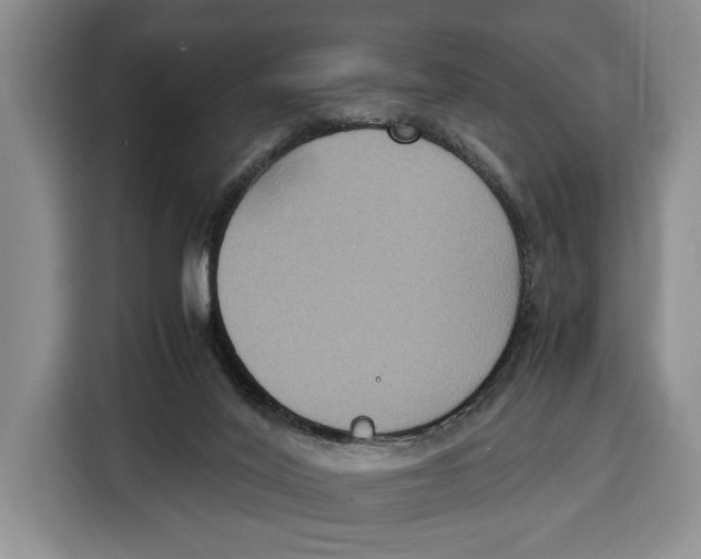 X0000115120020200911241356