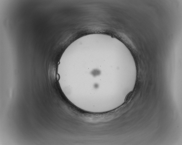 X0000115120021200911241356