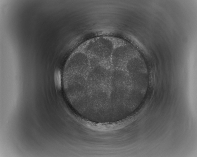 X0000115120022200911241356