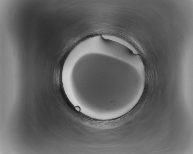 X0000115120023200911241356