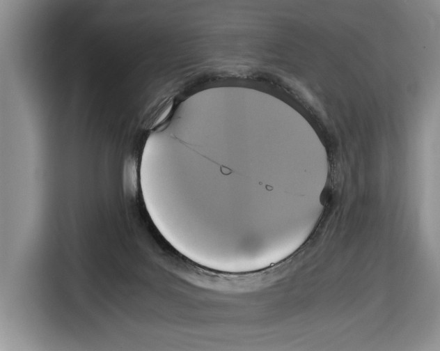 X0000115120027200911241356