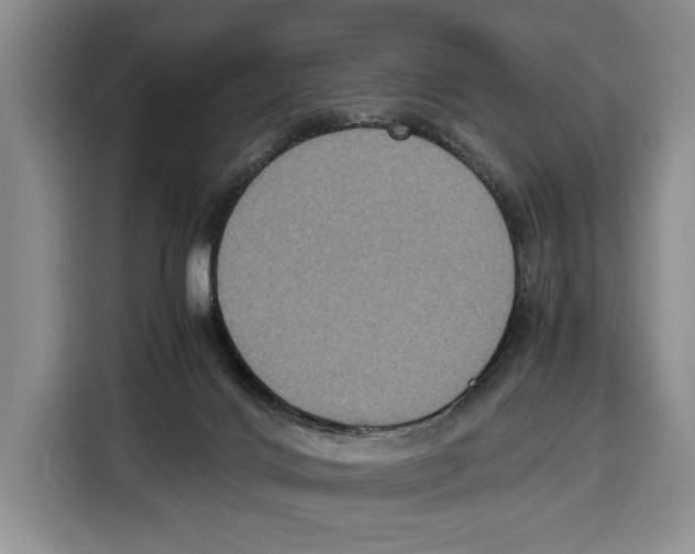 X0000115120028200911241356