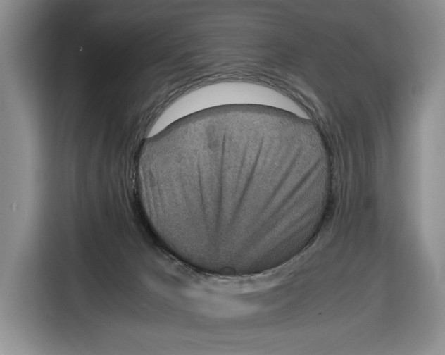 X0000115120029200911241356