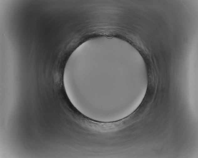 X0000115120031200911241356