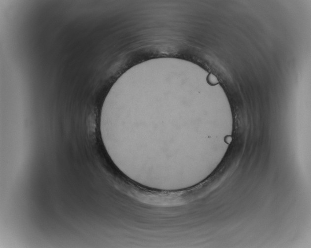 X0000115120032200911241356