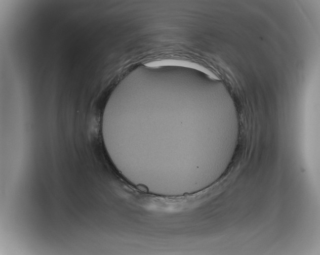 X0000115120033200911241356