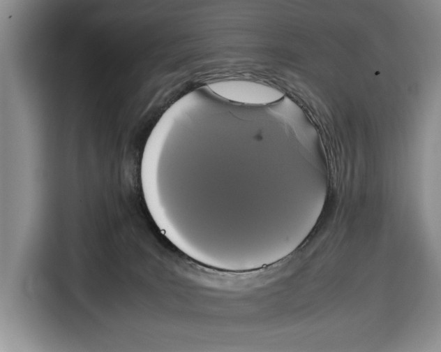 X0000115120035200911241356