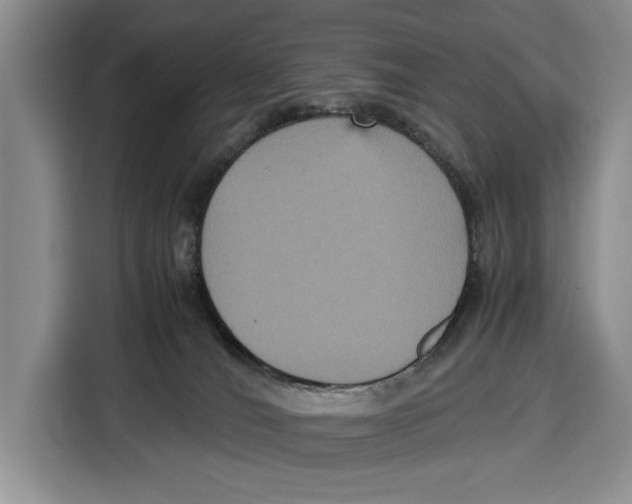 X0000115120036200911241356