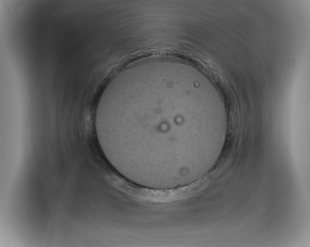 X0000115120037200911241356