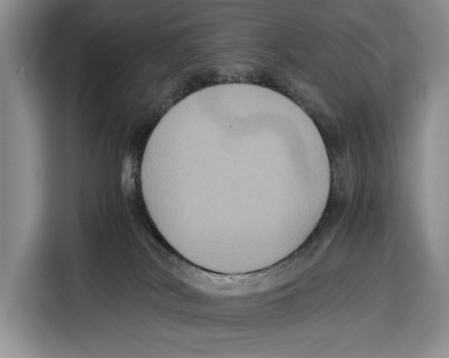 X0000115120038200911241356