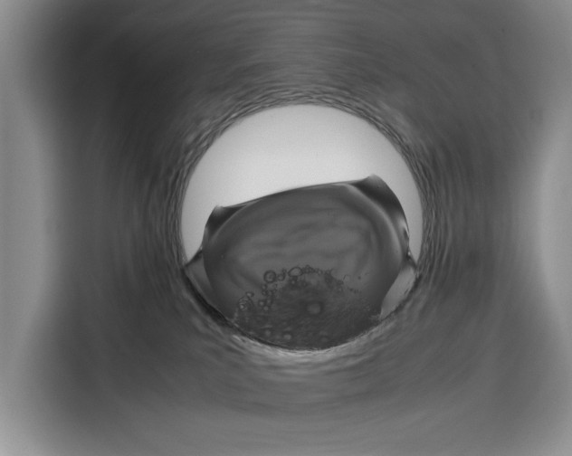 X0000115120039200911241356