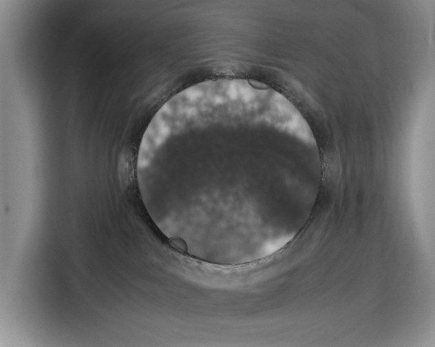 X0000115120043200911241356