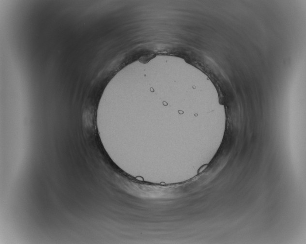 X0000115120044200911241356