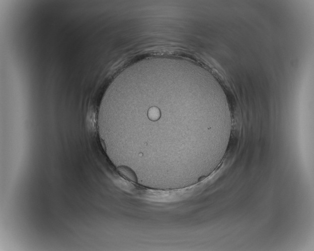 X0000115120045200911241356