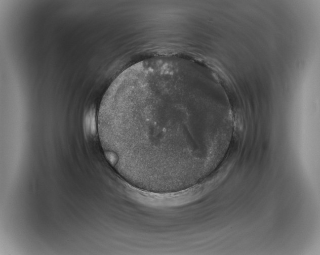 X0000115120046200911241356