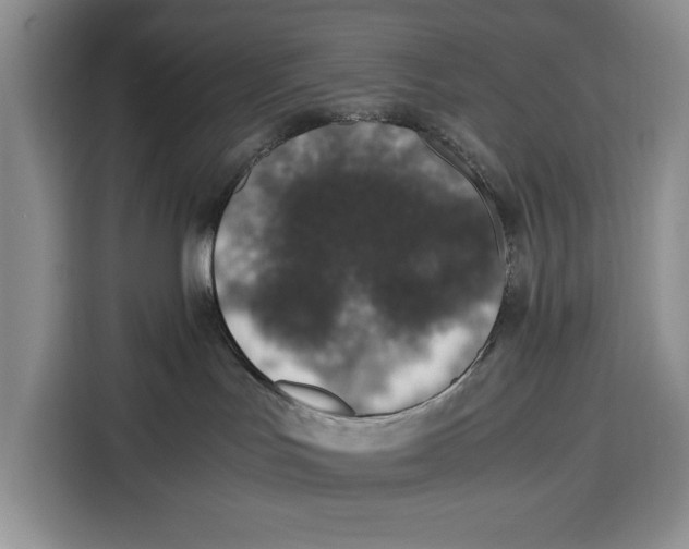 X0000115120047200911241356