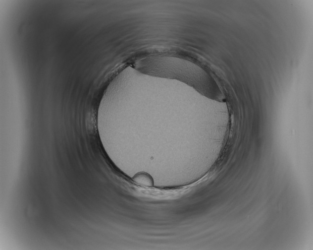 X0000115120048200911241356