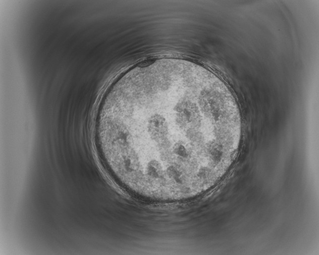 X0000115120049200911241355