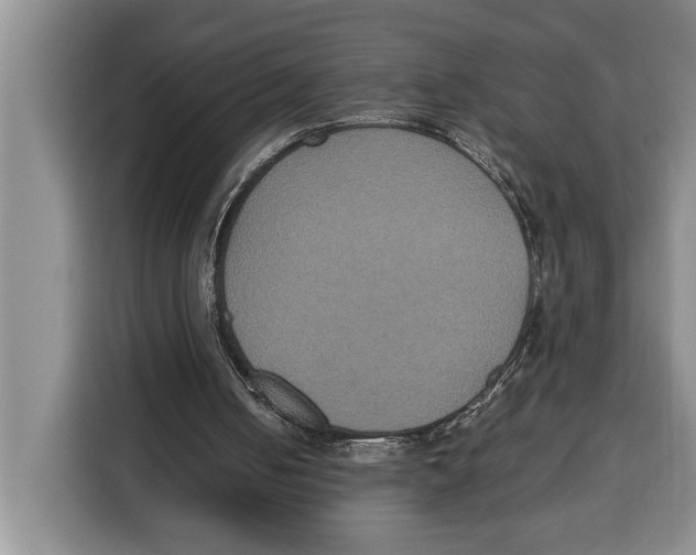 X0000115120050200911241355