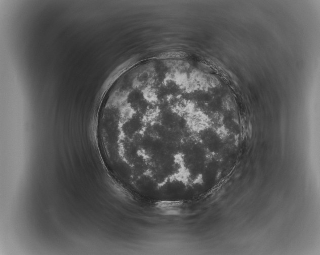 X0000115120051200911241355