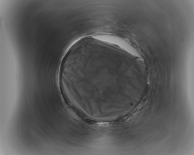 X0000115120052200911241355