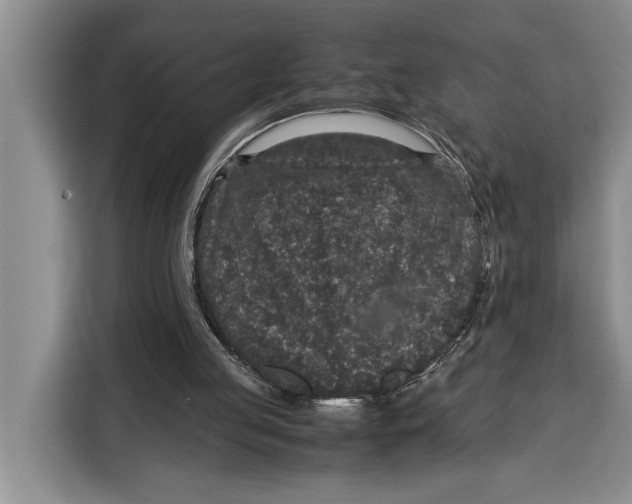 X0000115120053200911241355