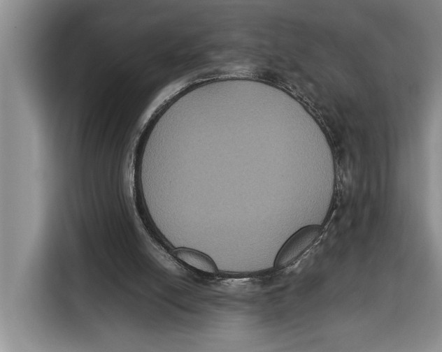 X0000115120054200911241355