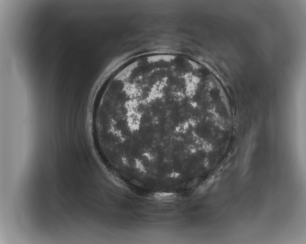 X0000115120055200911241355