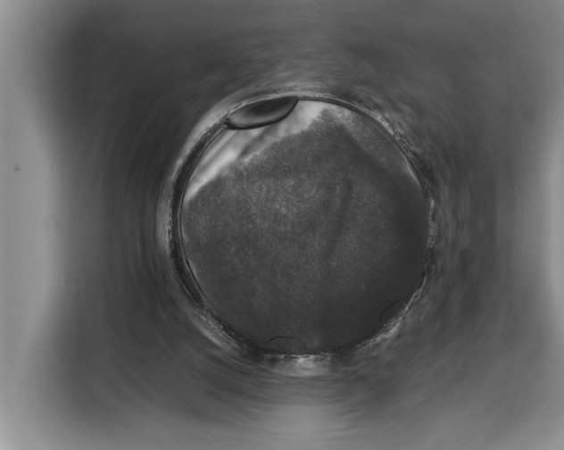 X0000115120056200911241355