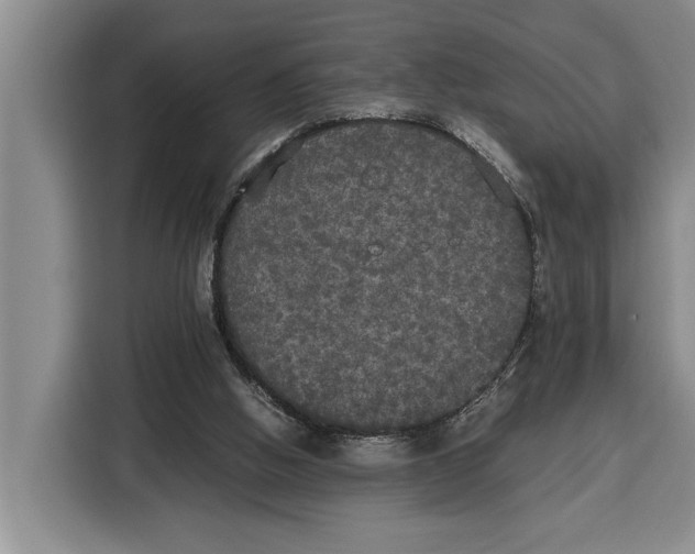 X0000115120058200911241355